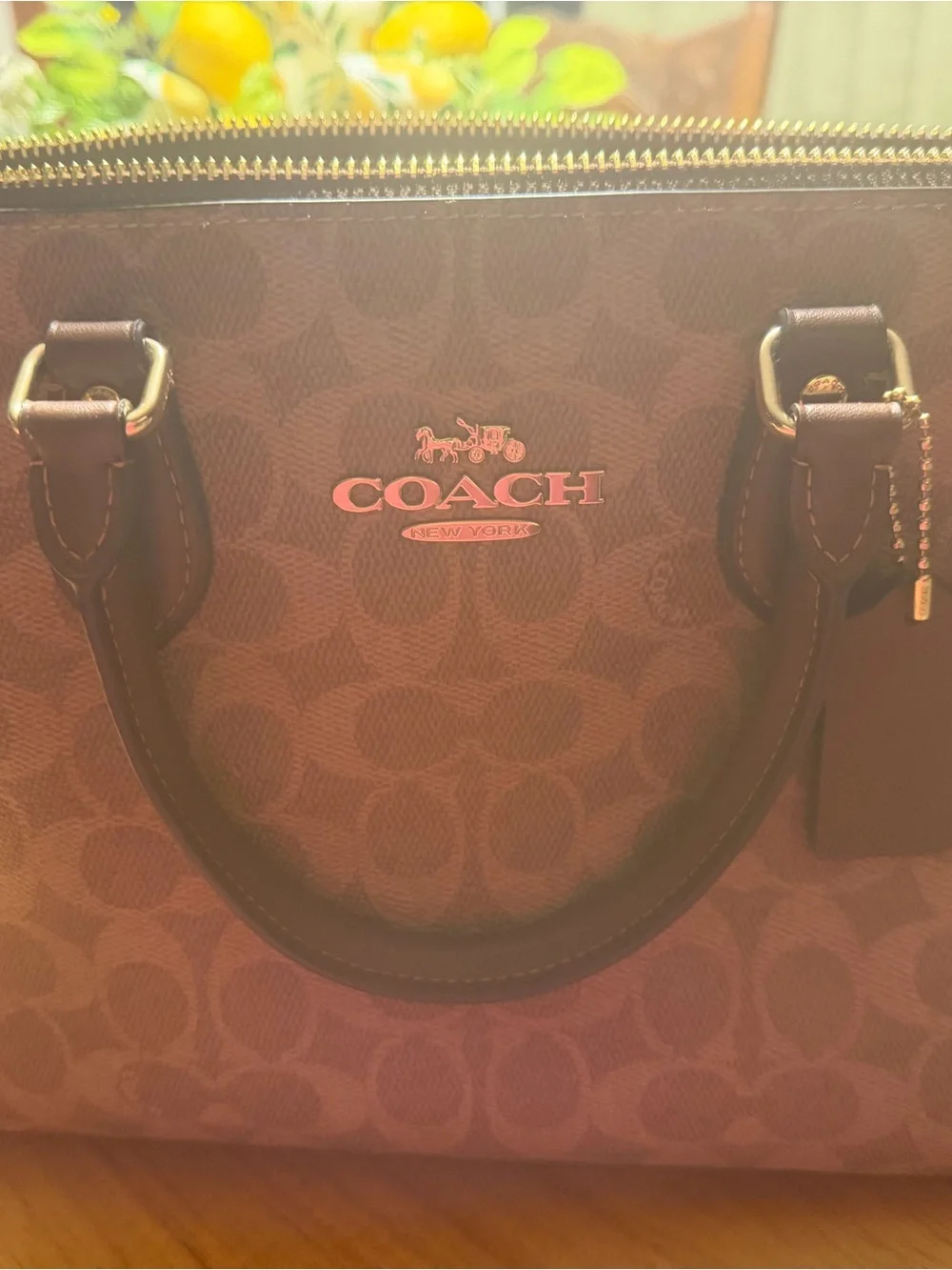 Coach Brown Signature Canvas Tote with Gold Logo
